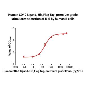 Human CD40 Ligand / TNFSF5 Protein