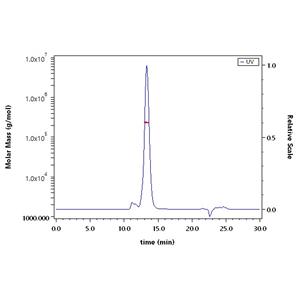 Human Integrin alpha V beta 6 (ITGAV&ITGB6) Heterodimer Protein