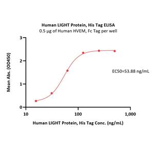 Human LIGHT / TNFSF14 Protein
