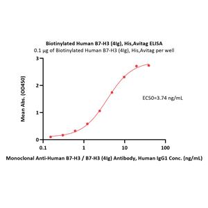 Biotinylated Human B7-H3 (4Ig) / B7-H3b Protein