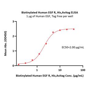 Biotinylated Human EGF R Protein