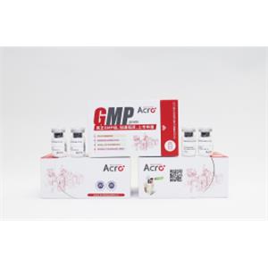 Custom GMP-grade Protein Services