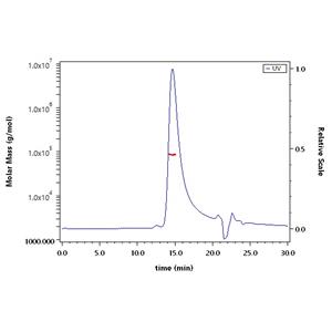 Human Fas Ligand / TNFSF6 Protein