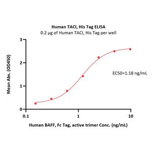 Human TACI / TNFRSF13B Protein