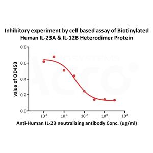 Biotinylated Human IL-23 alpha&IL-12 beta Heterodimer Protein