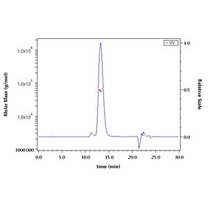 Unconjugated Human TPBG / 5T4 Protein