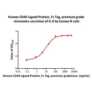 Human CD40 Ligand / TNFSF5 Protein