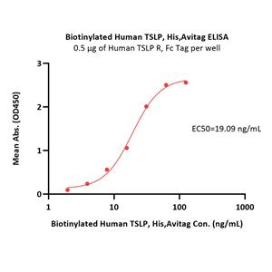 Human TROP-2 / TACSTD2 Protein