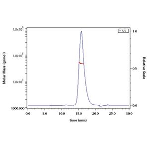 Human Fc gamma RI / CD64 Protein