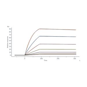 Biotinylated Human TL1A / TNFSF15 Protein