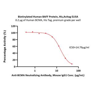 Biotinylated Human BAFF / TNFSF13B / CD257 Protein