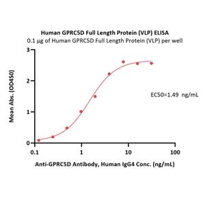 Human GPRC5D Full Length Protein (VLP)