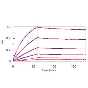Human PSMA / FOLH1 Protein