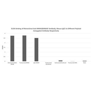 Monoclonal Anti-MMAE&MMAF Antibody