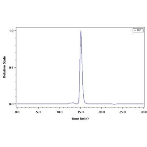 Monoclonal Anti-Human CD3 Antibody