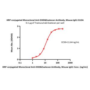 HRP conjugated Monoclonal Anti-DXD&Exatecan Antibody