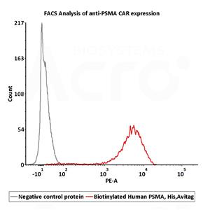 Biotinylated Human PSMA / FOLH1 Protein