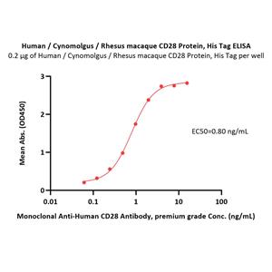 CD28 Protein