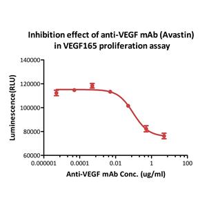Human VEGF165 Protein