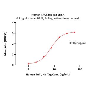 Human TACI / TNFRSF13B Protein