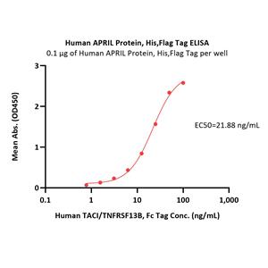 Human APRIL / TNFSF13 Protein