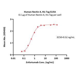 Human Nectin-4 Protein