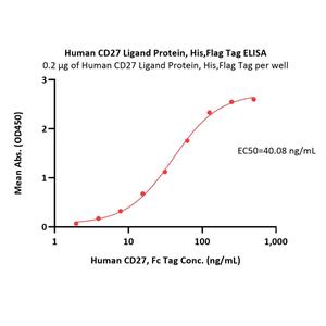 Human CD27 Ligand / CD70 Protein