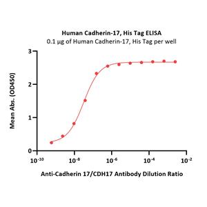 Human Cadherin-17 / CDH17 Protein
