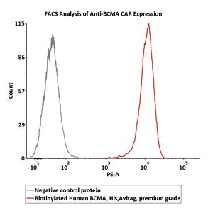 Biotinylated Human BCMA / TNFRSF17 Protein