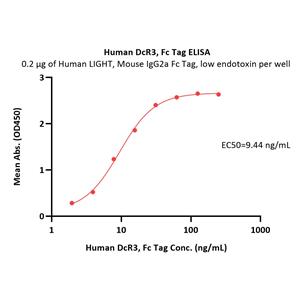 Human DcR3 / TNFRSF6B Protein