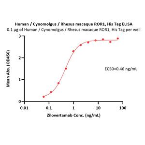 Human / Cynomolgus / Rhesus macaque ROR1 Protein