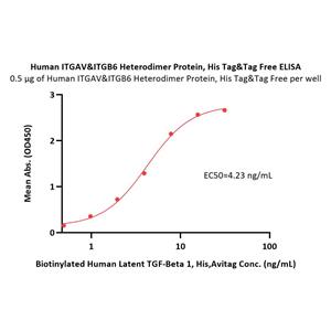 Human Integrin alpha V beta 6 (ITGAV&ITGB6) Heterodimer Protein