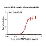 Human TSLP Protein pictures