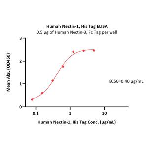 Human Nectin-1 / PVRL1 / CD111 Protein