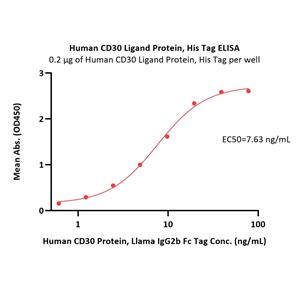 Human CD30 Ligand / TNFSF8 Protein