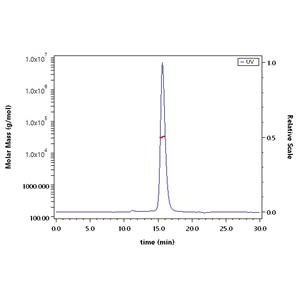 SARS-CoV-2 (COVID-19) S protein RBD