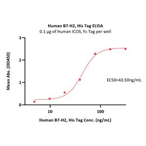 Human B7-H2 / ICOSLG Protein