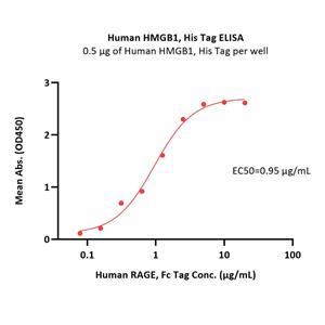Human HMGB1 Protein