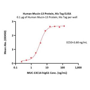 Human Mucin-13 Protein