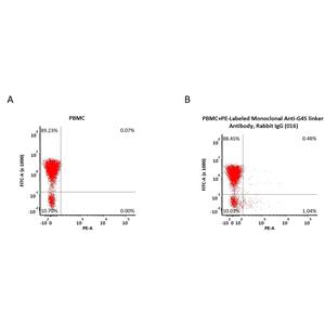 APC-Labeled Monoclonal Anti-G4S linker Antibody