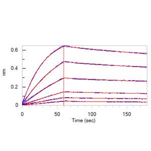 Human Mesothelin / MSLN (296-580) Protein
