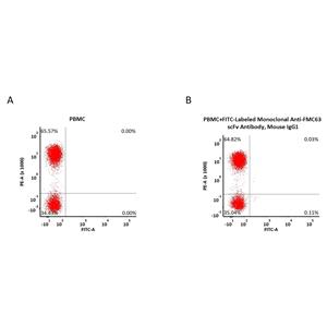 APC-Labeled Monoclonal Anti-FMC63 Antibody