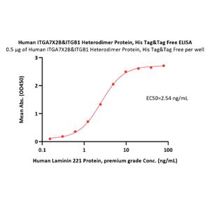 ITGA7X2B&ITGB1 Protein