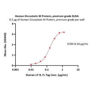 Oncostatin M (OSM) Protein