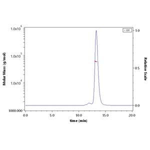 Biotinylated Human CD8 alpha&beta (CD8A&CD8B) Heterodimer Protein