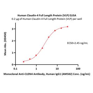 Human Claudin-4 Full Length Protein (VLP)