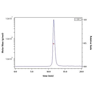 Biotinylated SARS-CoV-2 S protein