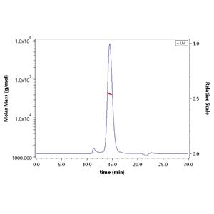 Human CD89 / FCAR Protein