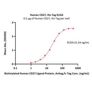 Human CD27 / TNFRSF7 Protein