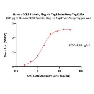 Human CCR8 Protein